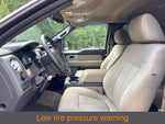 2010 Ford F-150 XLT