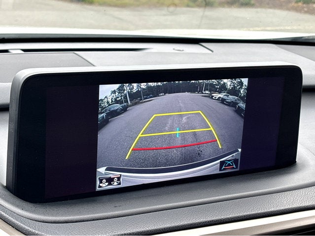 2020 Lexus RX RX 350L