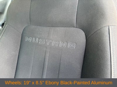 2022 Ford Mustang EcoBoost