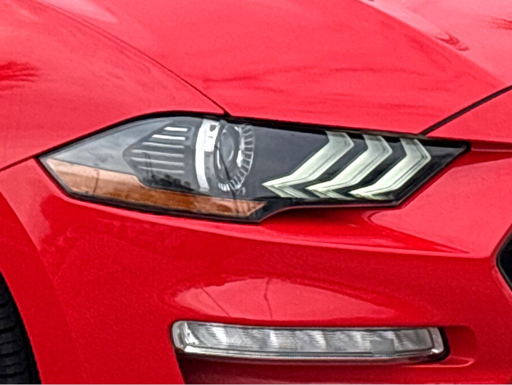 2019 Ford Mustang EcoBoost