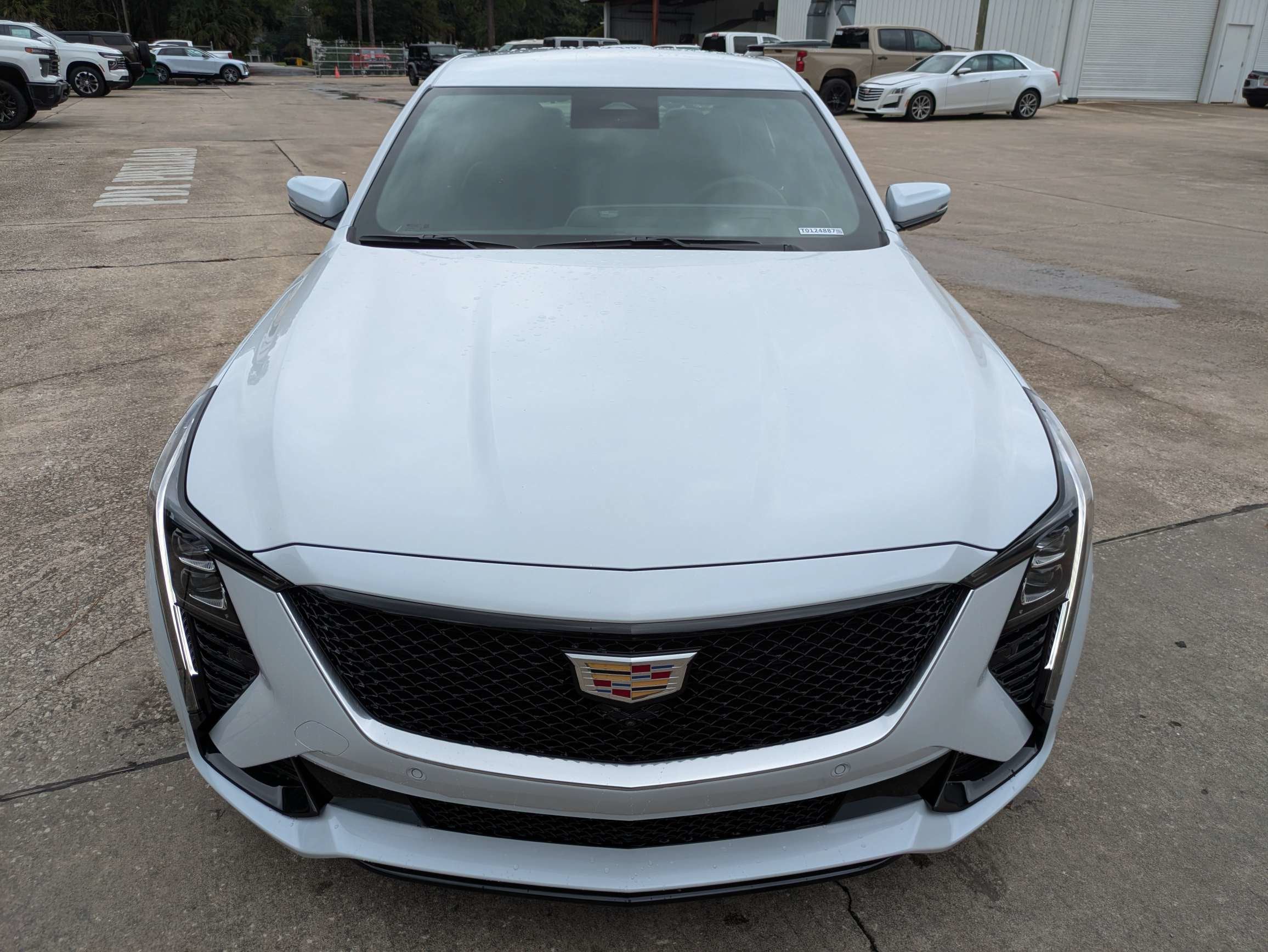 2026 Cadillac CT5 Sport