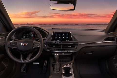 Dan Vaden Cadillac Savannah