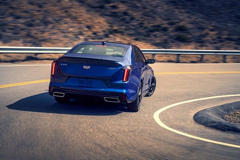 Dan Vaden Cadillac Savannah