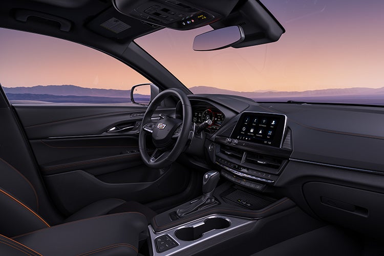 Dan Vaden Cadillac Savannah