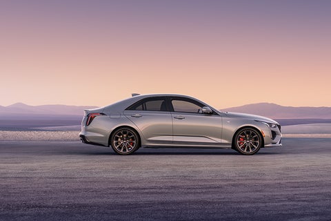 Dan Vaden Cadillac Savannah